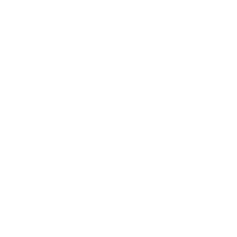 N lijn wit 40